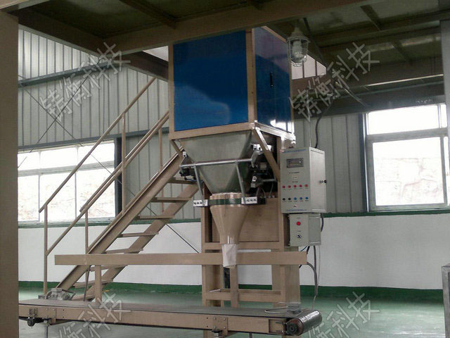 �w���������b�C