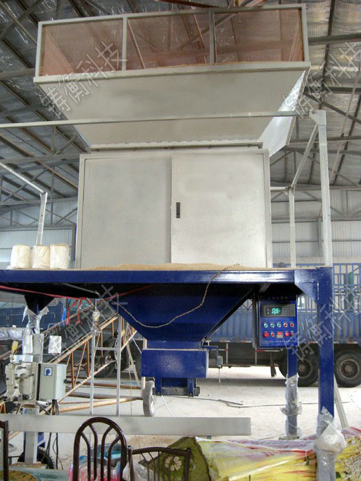 �������b�C(j��)